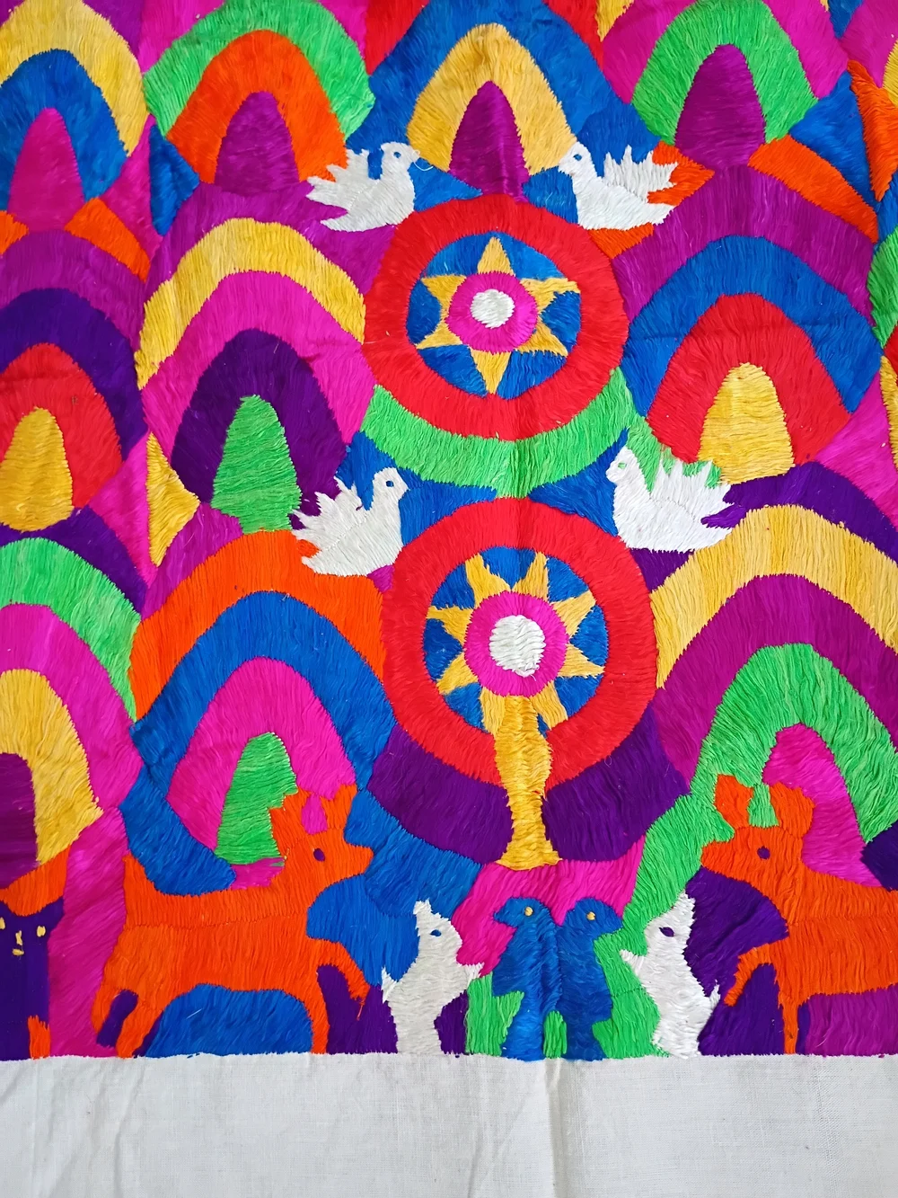 Guatemalan Paya